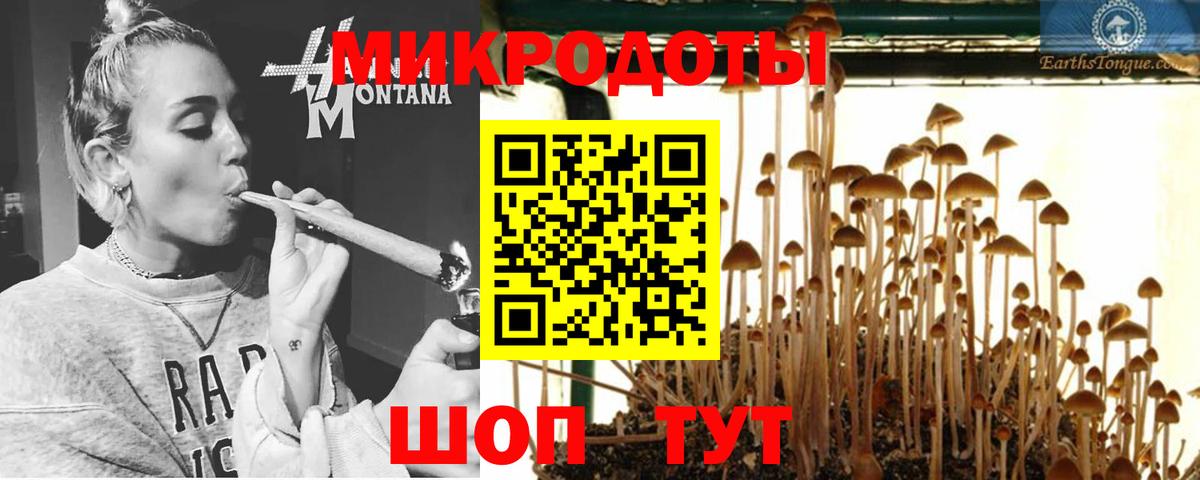 Галлюциногенные грибы MAGIC MUSHROOMS Кингисепп