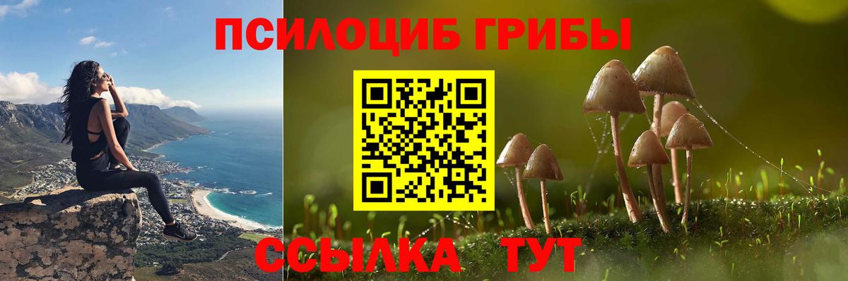 Кингисепп  Псилоцибиновые грибы Magic Shrooms  Вход с VPN 