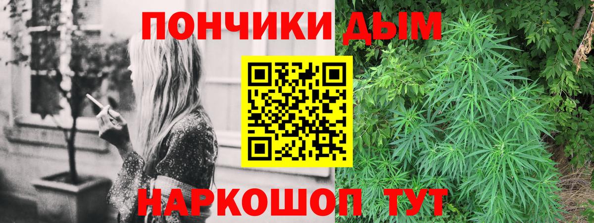 Конопля марихуана Кингисепп